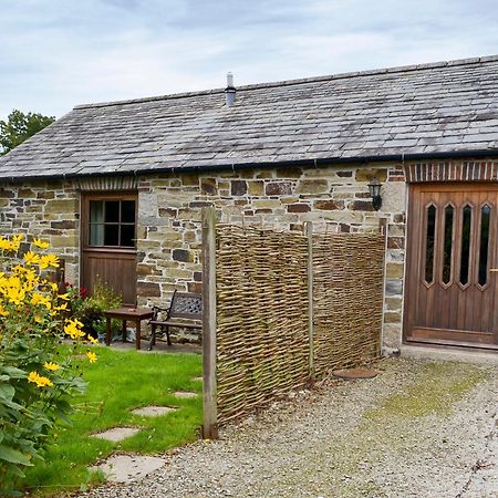 Penno Cottage - 24440 Bodmin Exterior photo